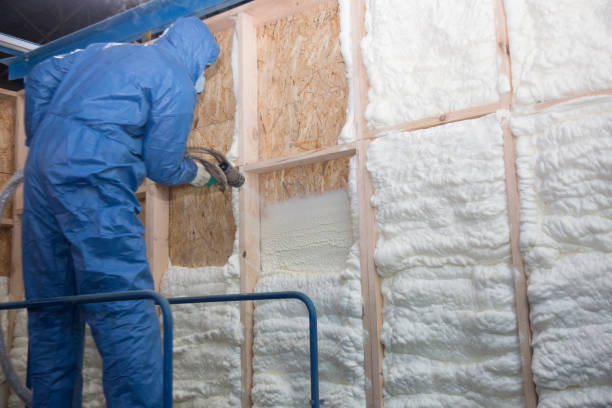 Reliable New Port Richey, FL Insulation Services Solutions